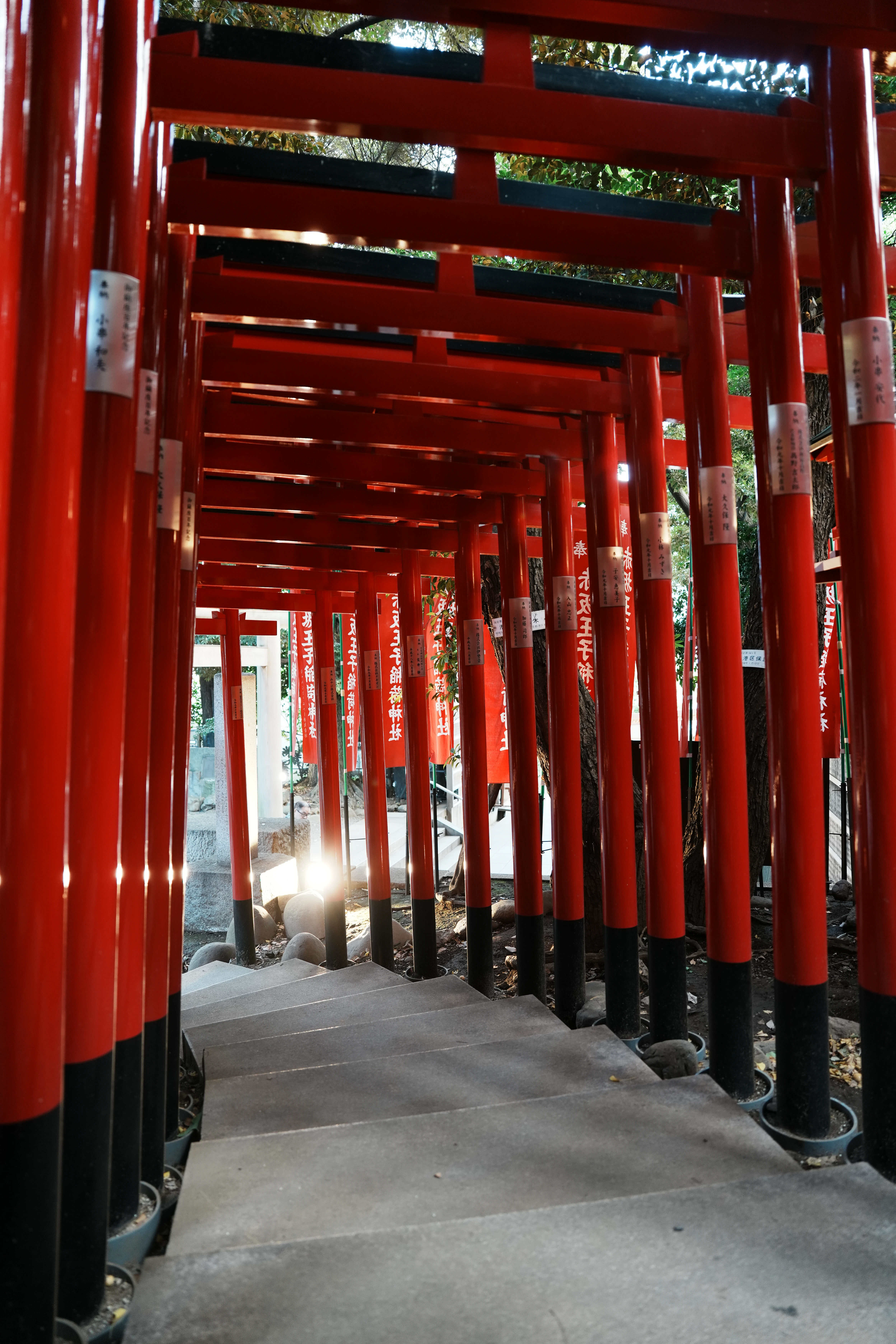 A path through red torii gates