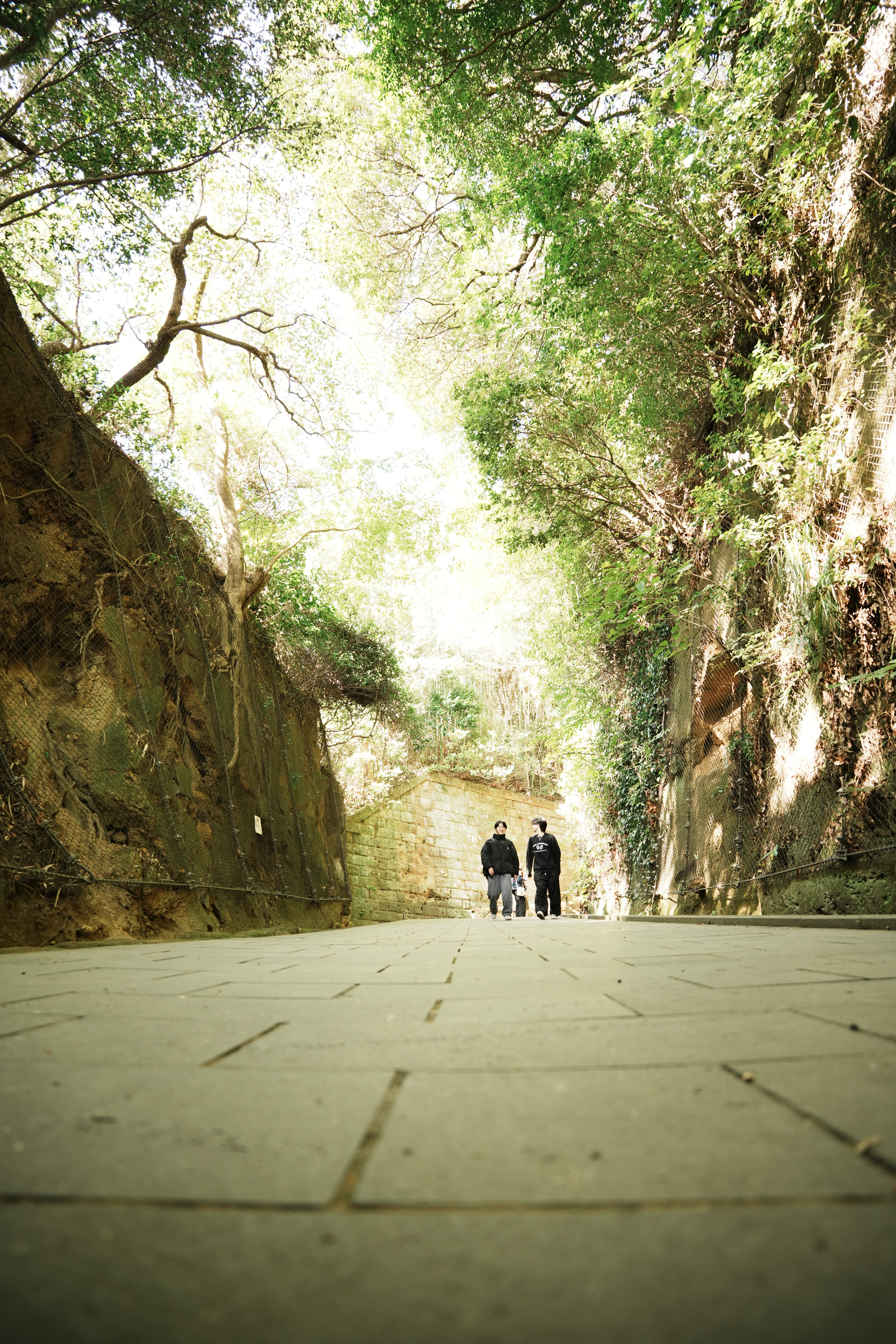 A green path beside old stone walls